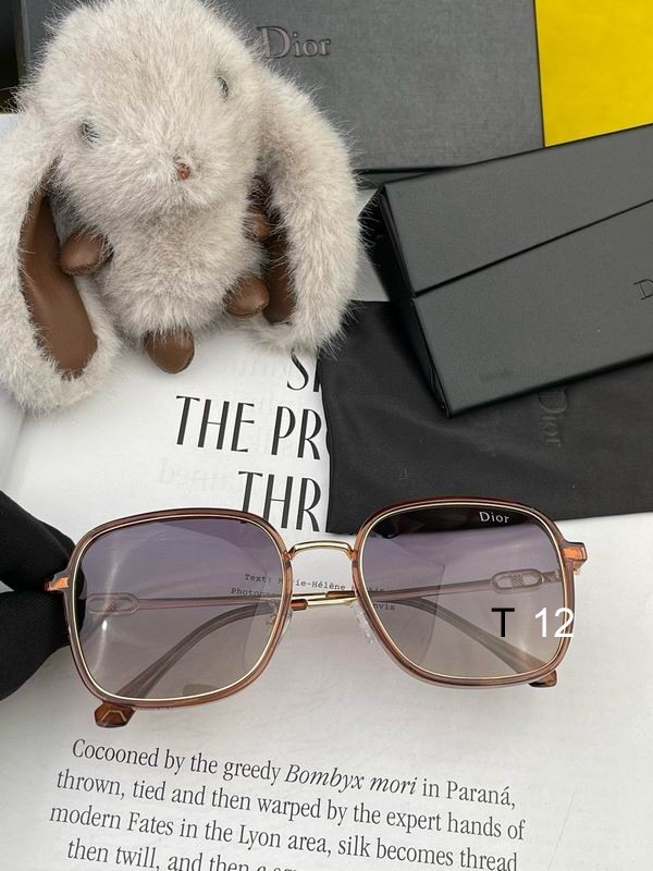 DIOR Sunglasses 640